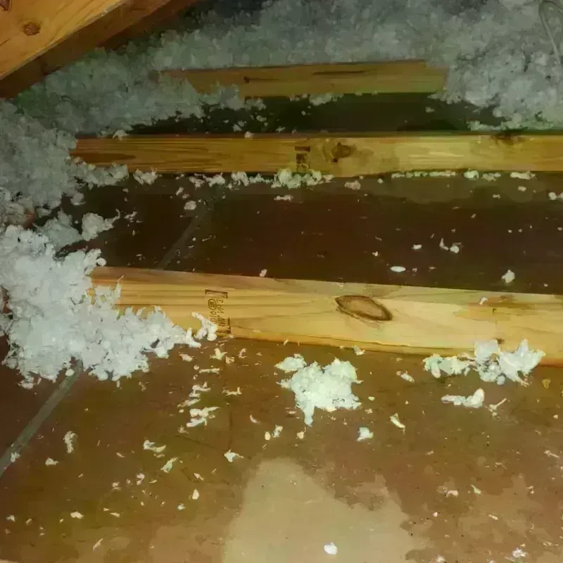 Attic Water Damage in Buckeye Lake, OH